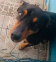 MARRETA