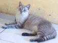 Sther