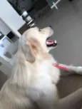 Sebastian
