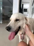 Sebastian