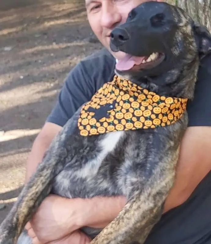 Cachorro ra a srd idade 7 a 11 meses nome Bombom