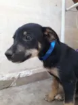 Baby 4