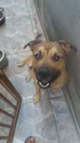 Zeus