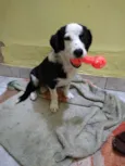 Bartolomeu