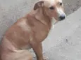 Chuca, tito, pretinh