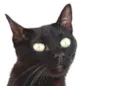 Demolidor