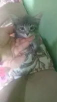 Nao tem