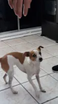 Princesa