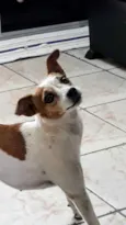 Princesa
