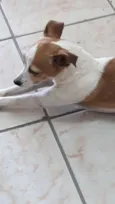 Princesa