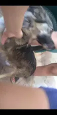 Mel