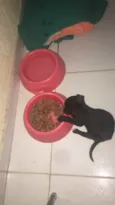 Pretinho