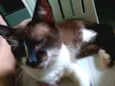 Billy