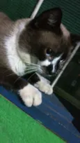 Billy