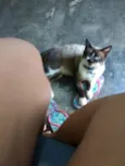 Billy