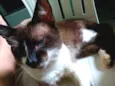 Billy