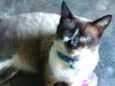 Billy