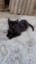 Menino