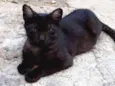Menino