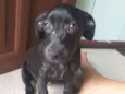 Não sei