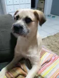 Kurt