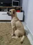 Kurt