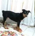 Lyka