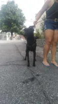 Pretinho