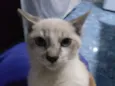 Linx