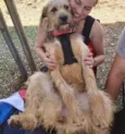 Nairóbi