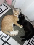 Gilmar e pretinho 