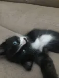 Max