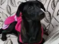 NINA