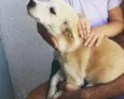 Lua
