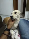 Lua