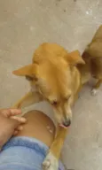 Sem nome/ Chamo de P