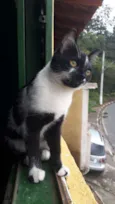 Bruce