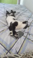 Bruce