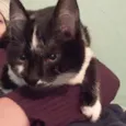Bruce