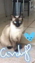 Andy