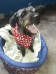 BENJAMIN