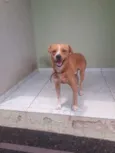 Master
