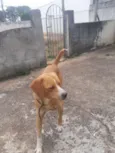 Master