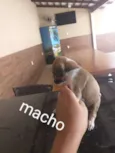 Sem nome