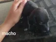 Sem nome