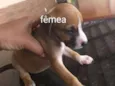 Sem nome