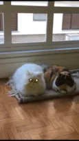 charlie e mel
