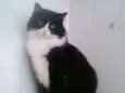 Dedé