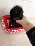 nina