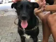 Pelezinho